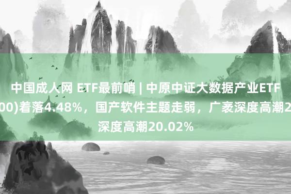 中国成人网 ETF最前哨 | 中原中证大数据产业ETF(516000)着落4.48%，国产软件主题走弱，广袤深度高潮20.02%