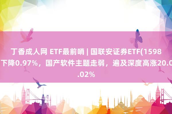 丁香成人网 ETF最前哨 | 国联安证券ETF(159848)下降0.97%，国产软件主题走弱，遍及深度高涨20.02%