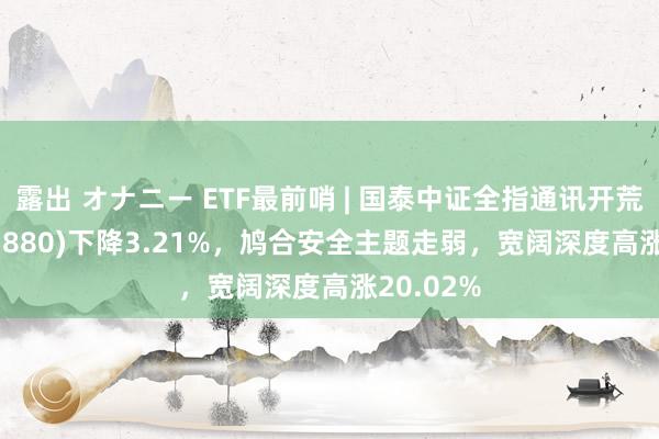 露出 オナニー ETF最前哨 | 国泰中证全指通讯开荒ETF(515880)下降3.21%，鸠合安全主题走弱，宽阔深度高涨20.02%