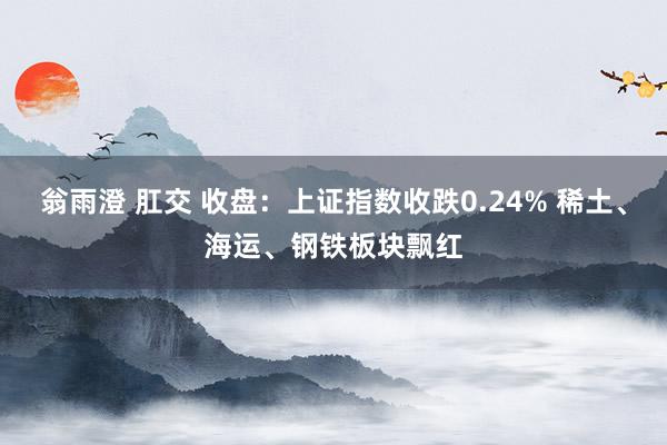 翁雨澄 肛交 收盘：上证指数收跌0.24% 稀土、海运、钢铁板块飘红