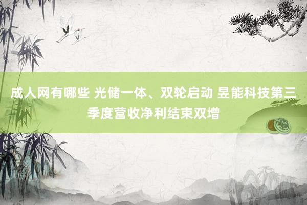 成人网有哪些 光储一体、双轮启动 昱能科技第三季度营收净利结束双增