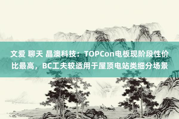 文爱 聊天 晶澳科技：TOPCon电板现阶段性价比最高，BC工夫较适用于屋顶电站类细分场景