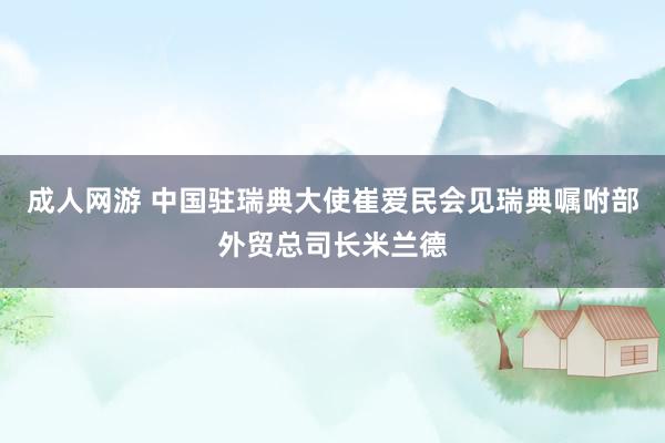 成人网游 中国驻瑞典大使崔爱民会见瑞典嘱咐部外贸总司长米兰德