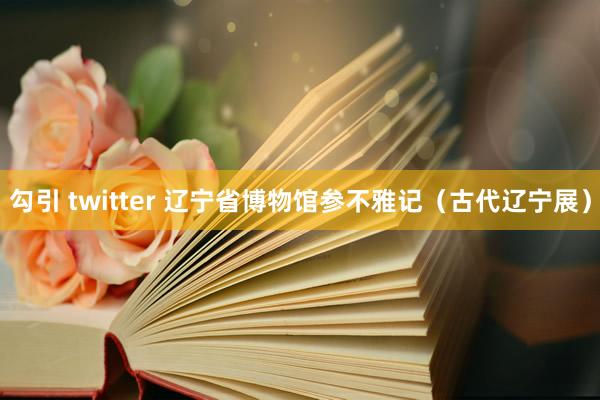 勾引 twitter 辽宁省博物馆参不雅记（古代辽宁展）