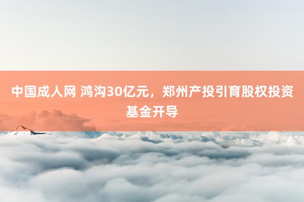 中国成人网 鸿沟30亿元，郑州产投引育股权投资基金开导