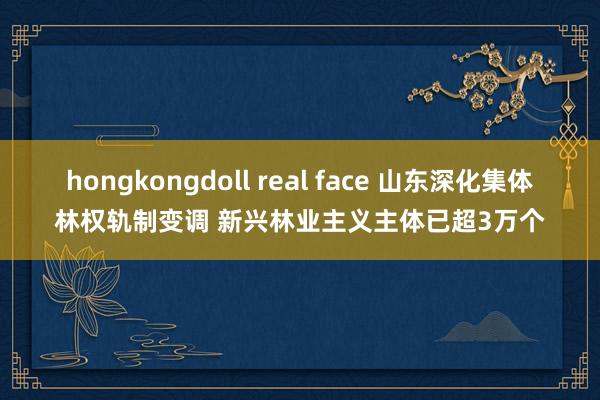 hongkongdoll real face 山东深化集体林权轨制变调 新兴林业主义主体已超3万个