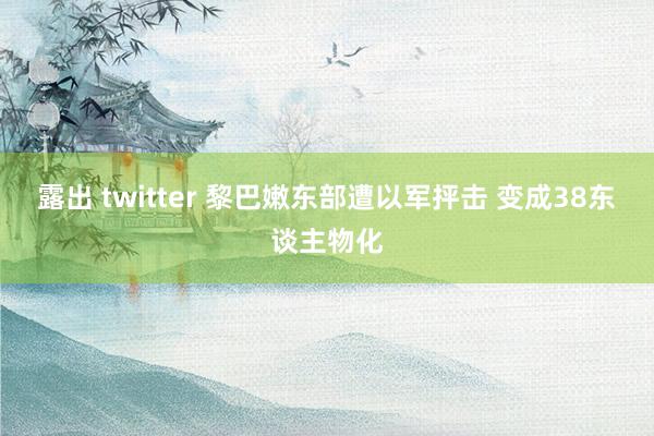 露出 twitter 黎巴嫩东部遭以军抨击 变成38东谈主物化