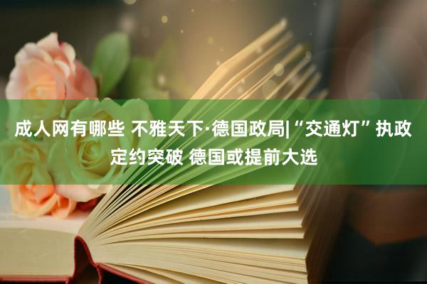 成人网有哪些 不雅天下·德国政局|“交通灯”执政定约突破 德国或提前大选