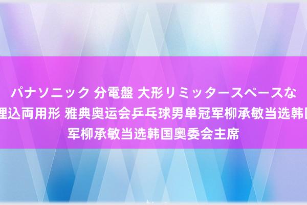 パナソニック 分電盤 大形リミッタースペースなし 露出・半埋込両用形 雅典奥运会乒乓球男单冠军柳承敏当选韩国奥委会主席